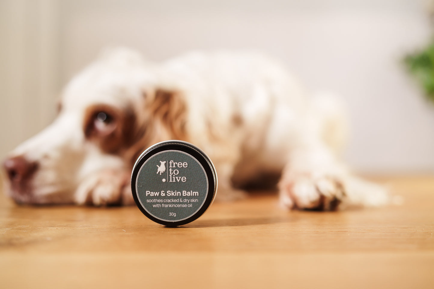 Paw & Skin Balm 30g